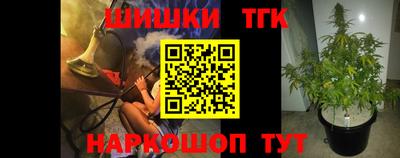 spice Гатчина