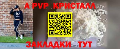 spice Гатчина